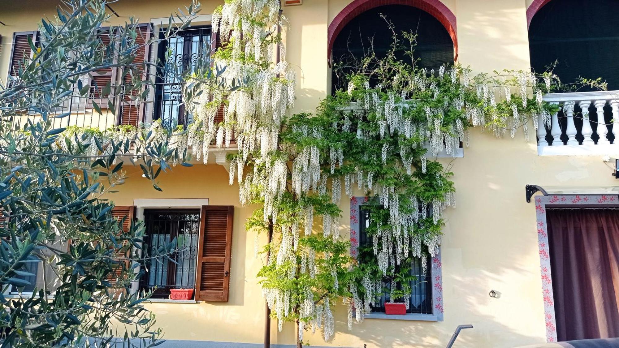 La Casa Dei Masue' Pension Alba  Buitenkant foto