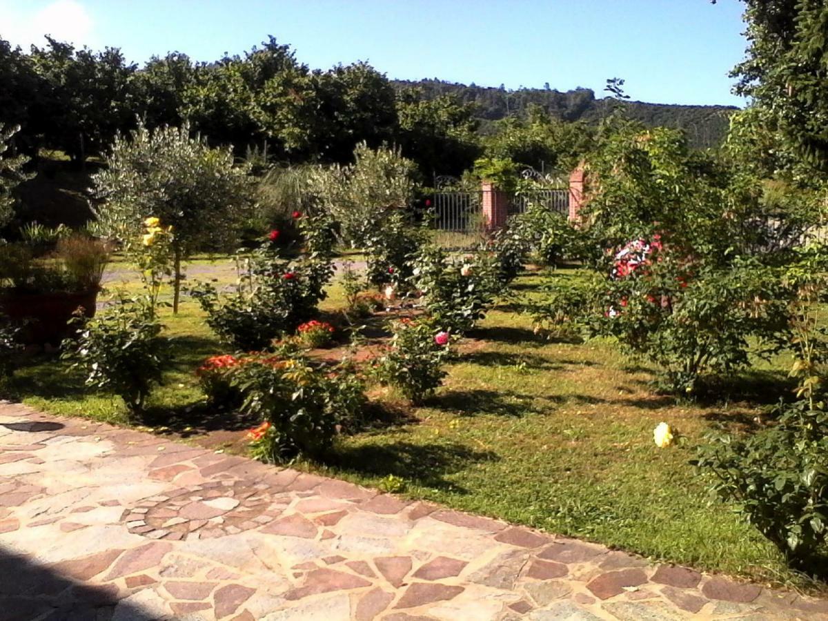 La Casa Dei Masue' Pension Alba  Buitenkant foto