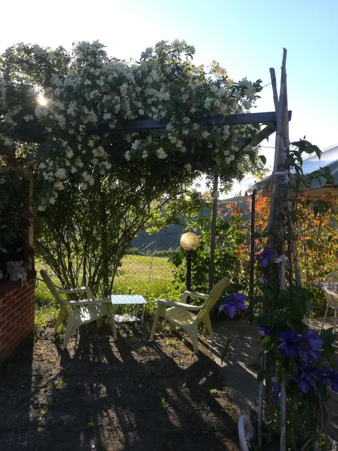 La Casa Dei Masue' Pension Alba  Buitenkant foto